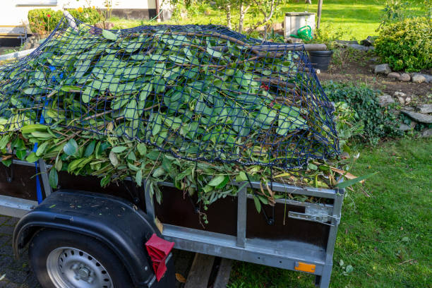 Best Yard Waste Removal  in Guymon, OK